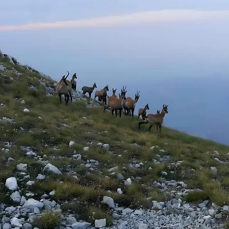 Il Dolce Risveglio Διαμέρισμα Fossacesia